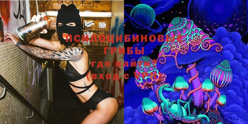 Галлюциногенные грибы MAGIC MUSHROOMS  Куса 